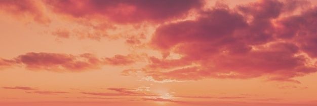 pdrosalgado's profile banner image