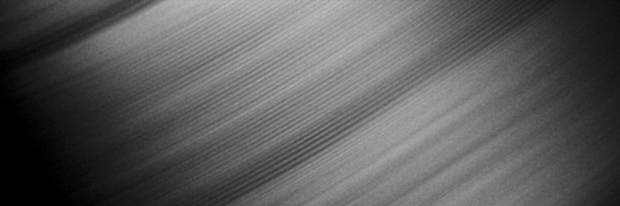 pvedeel's profile banner image
