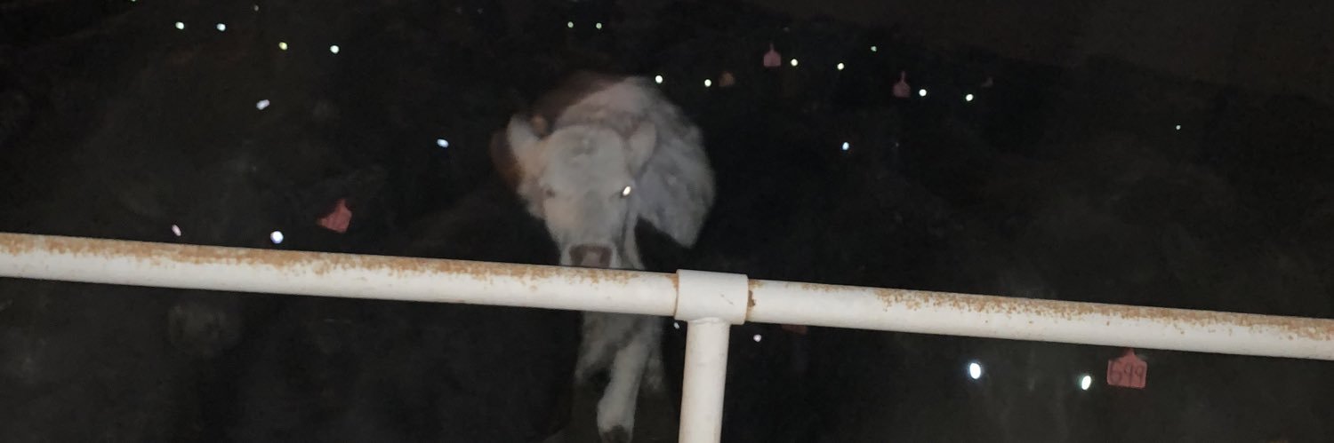 JakeJBJ's profile banner image