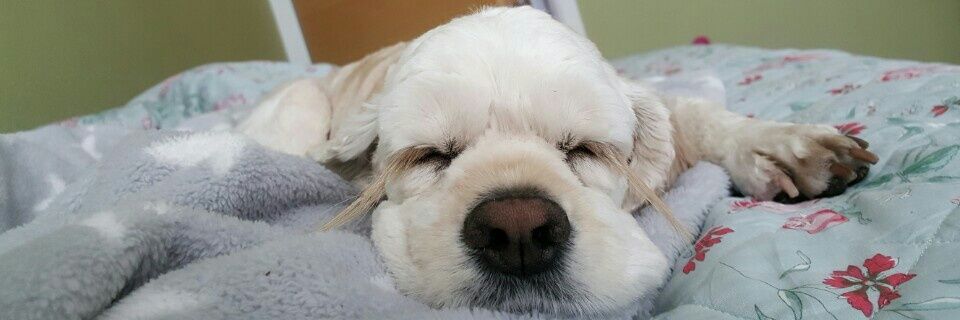 mugci's profile banner image