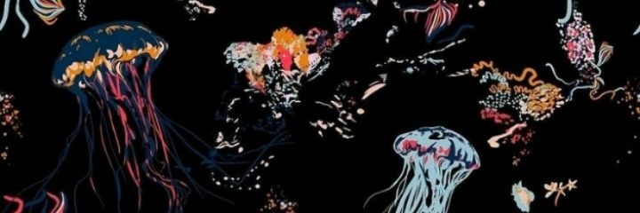 Kforero88 🪬 banner