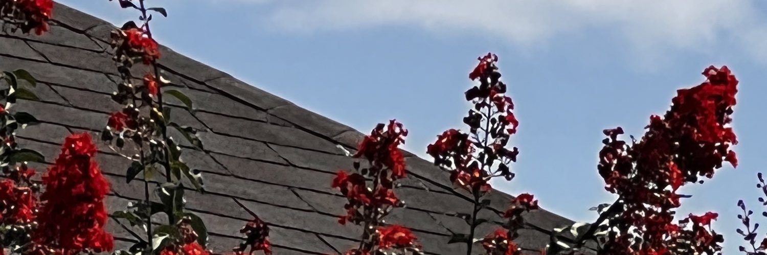 everythingtay1's profile banner image