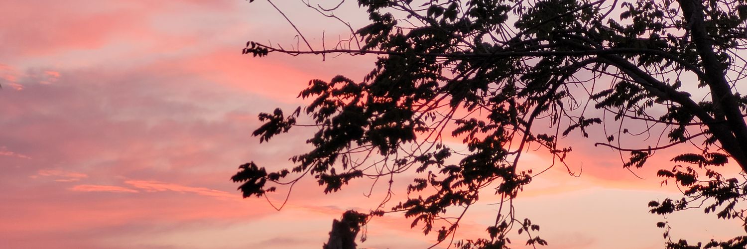 inglinanegrete's profile banner image