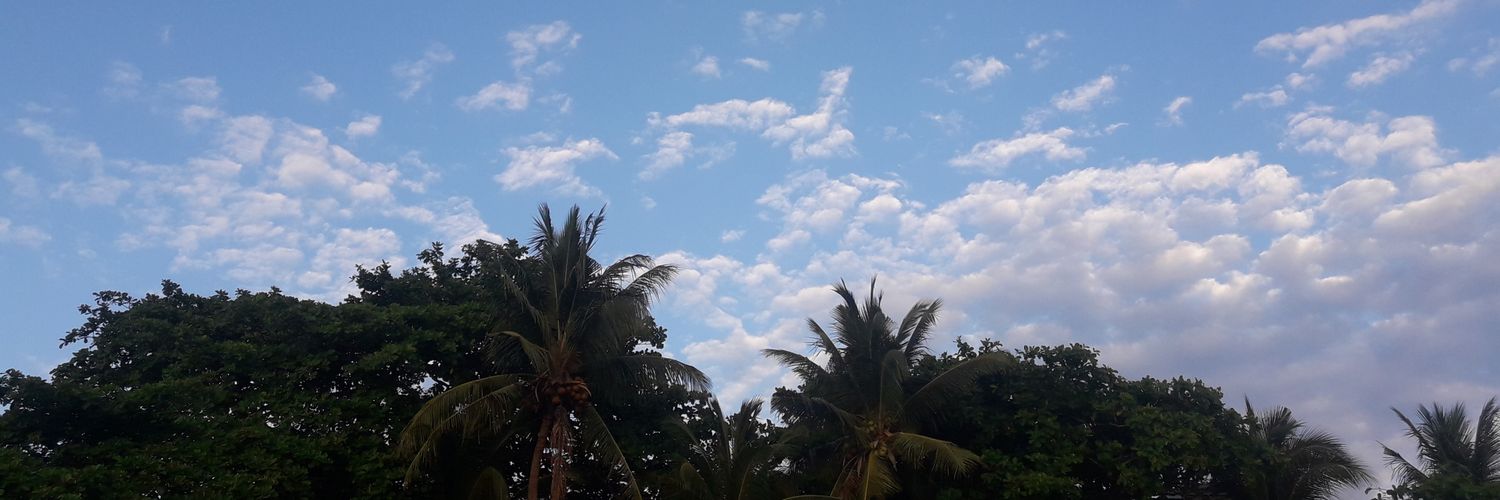 ptrcshnnn's profile banner image