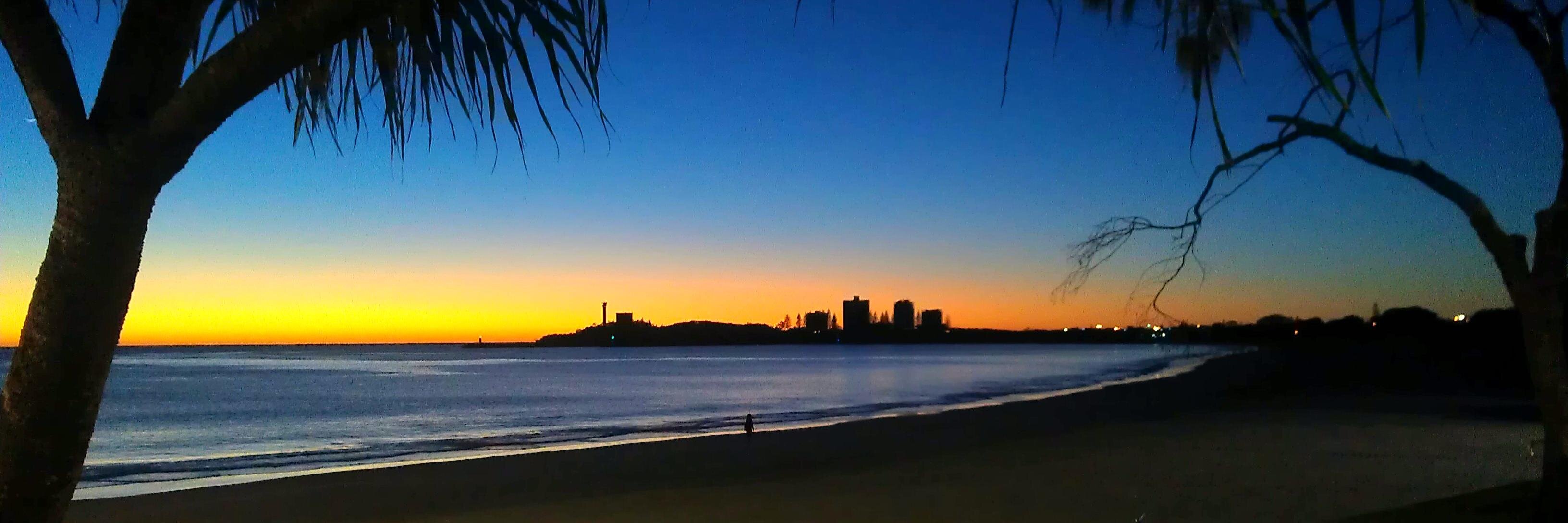 Jackie Goldston banner