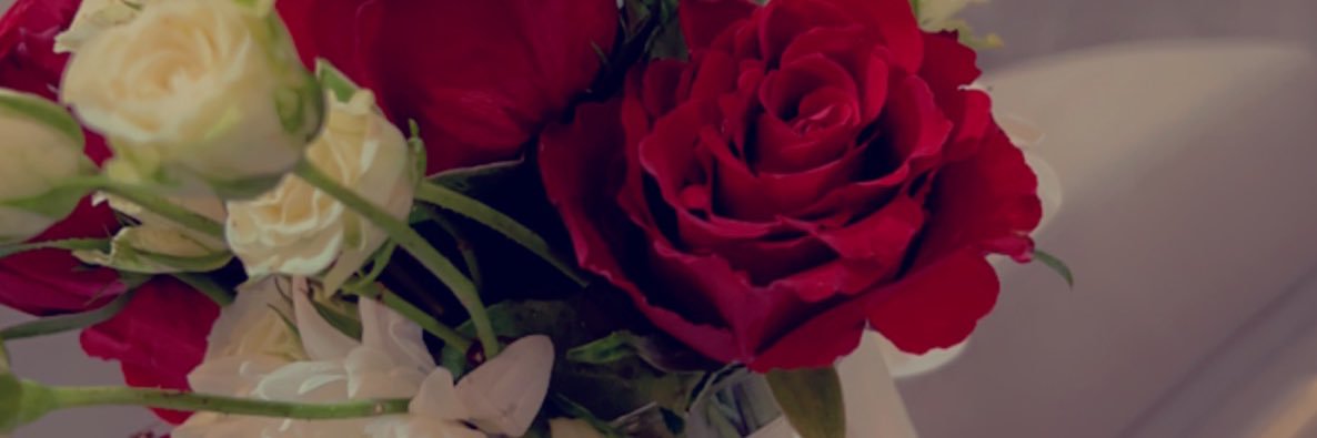 fofo99012's profile banner image