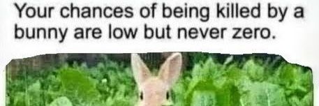 Phillip Kirschberg banner