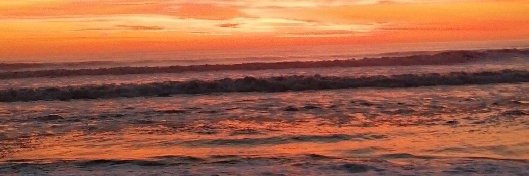 JosefinaSilvera's profile banner image