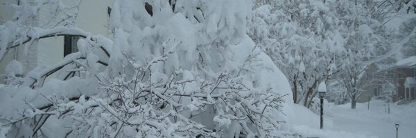 dewpoint05 Profile Banner