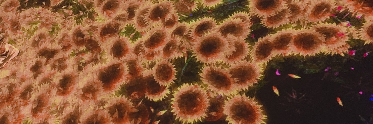 kmstluv's profile banner image
