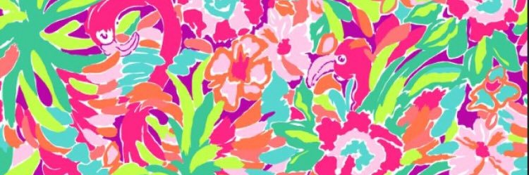 willow_renee's profile banner image