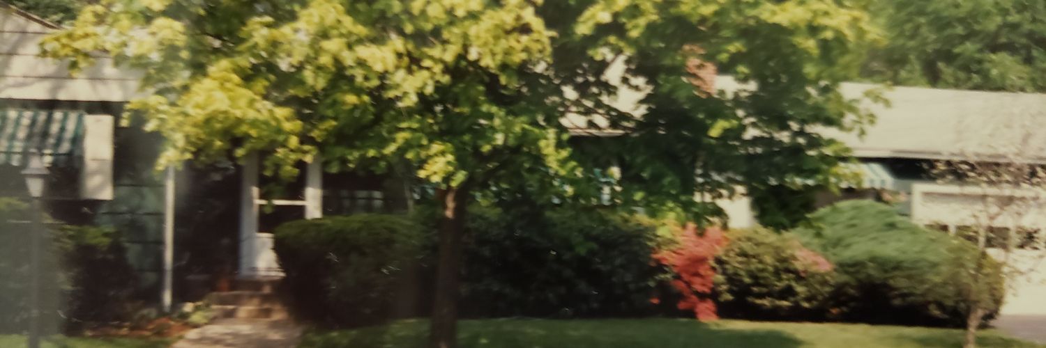 GiantSmilingMan's profile banner image