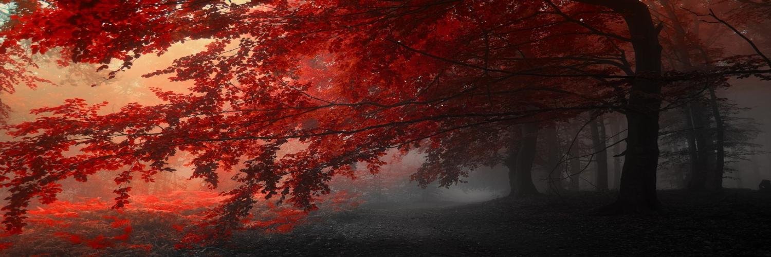 Tactlem_Pendsub's profile banner image