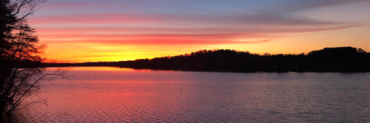 nameislizj's profile banner image