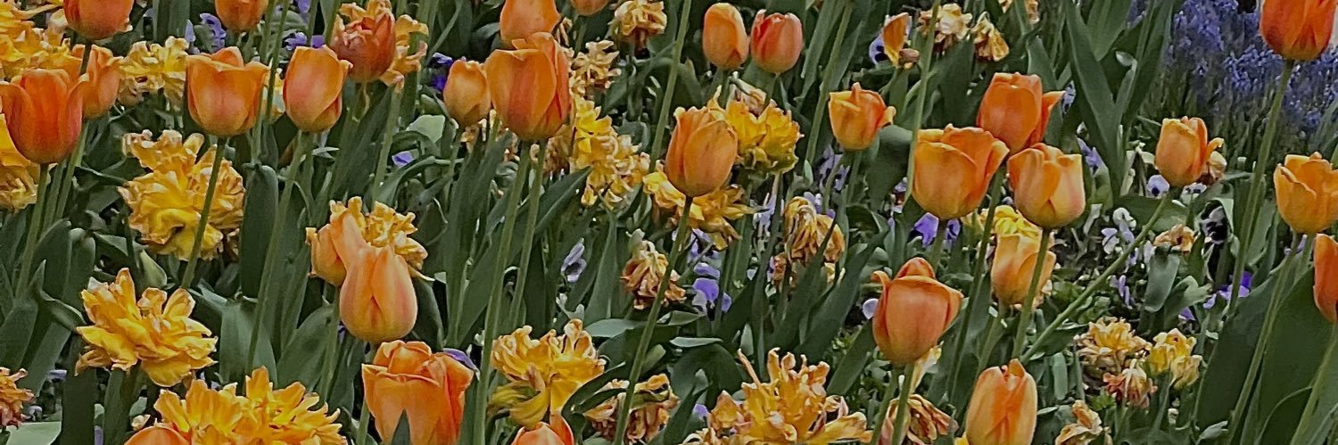 ru_oKayla's profile banner image