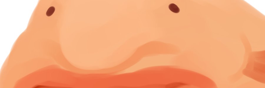 fruityflood's profile banner image