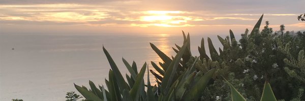 pinewoodlmc Profile Banner