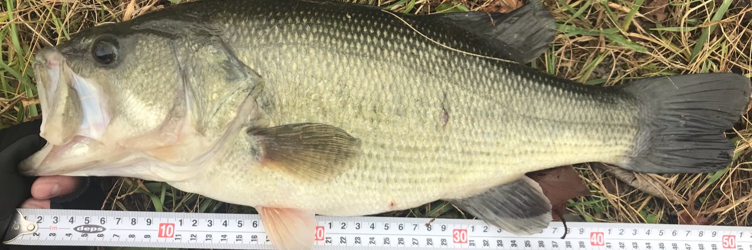 deps910's profile banner image