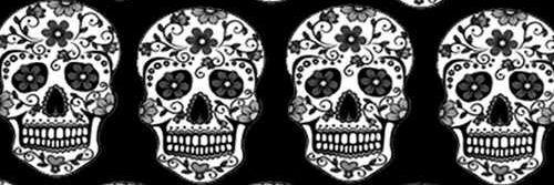 sevlcnr's profile banner image
