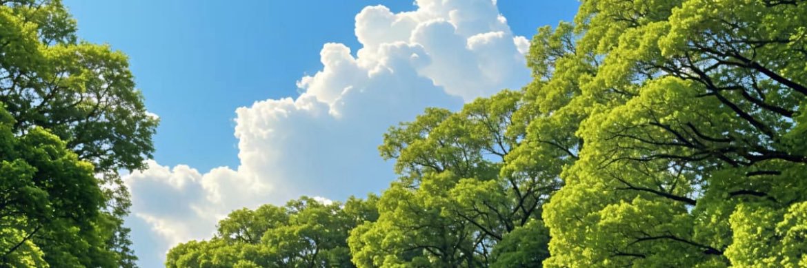 ntokozo17's profile banner image