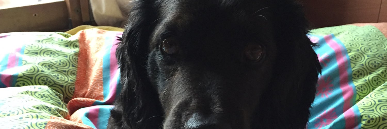 jo_chickettejo's profile banner image