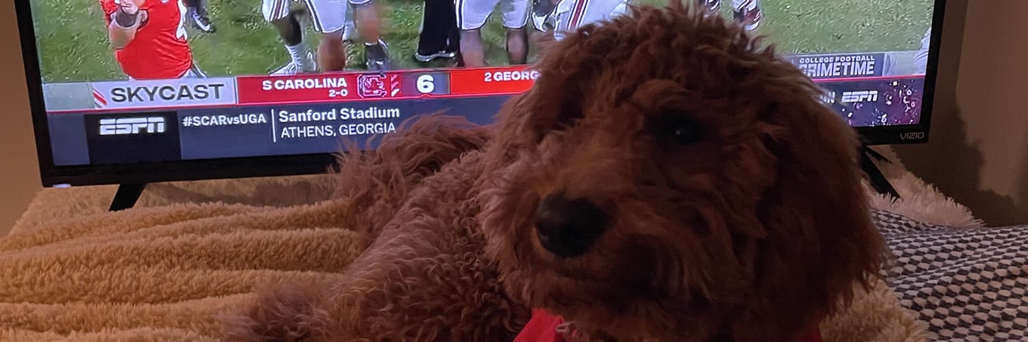 HaMorley's profile banner image