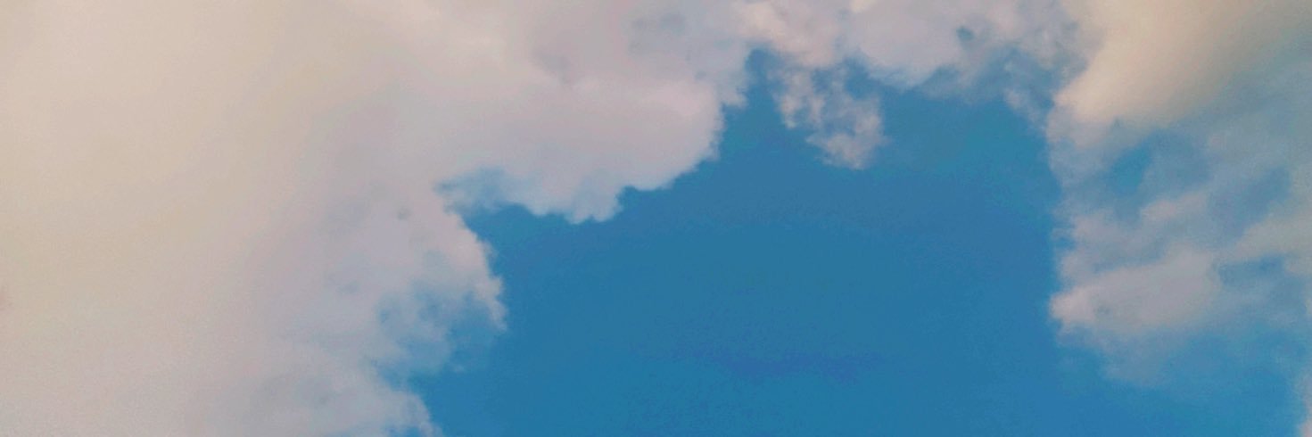 carolkummer_'s profile banner image