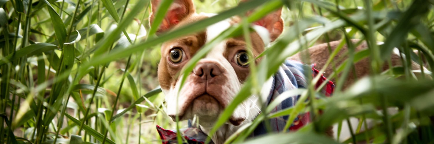 LDZiemba's profile banner image