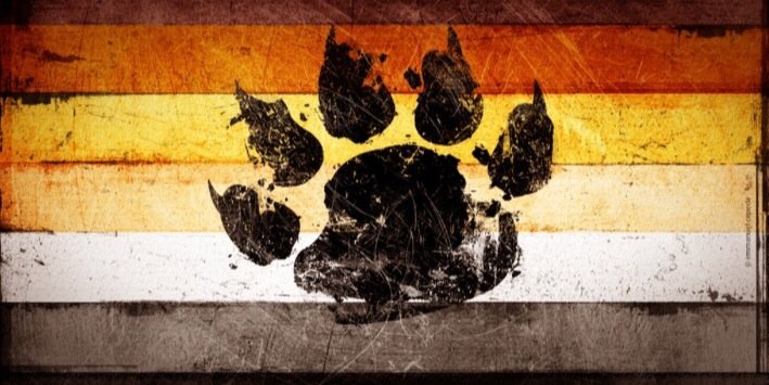 GradeABears's profile banner image