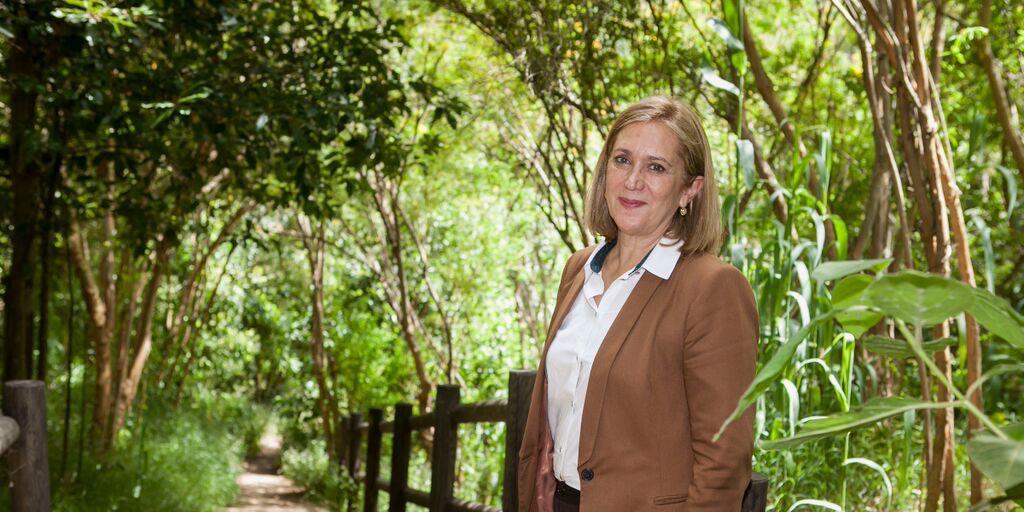 Mercedes Roldós banner