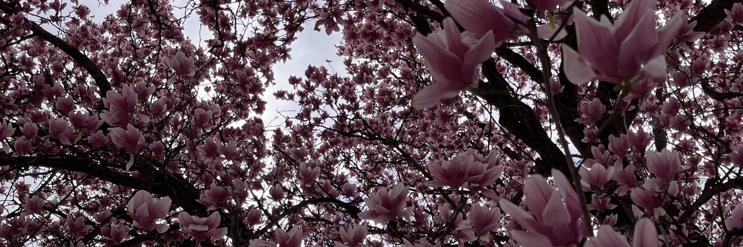 BrettHammer_'s profile banner image