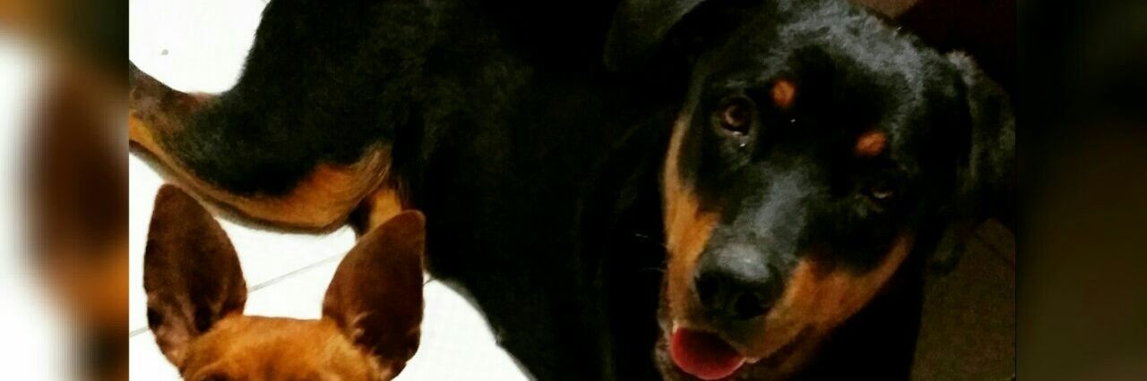 walkemansch's profile banner image