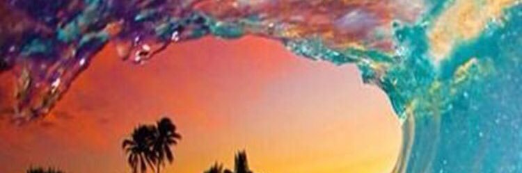 dolphinspirith1's profile banner image