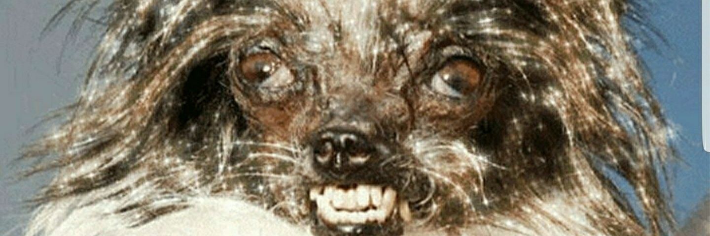 Jonny_Coker's profile banner image
