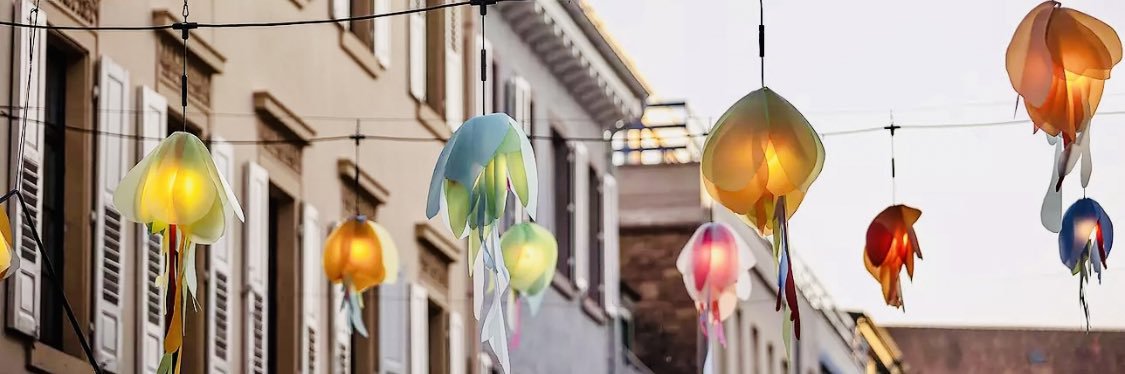 crazyfink🕊 banner