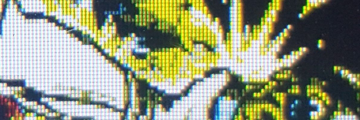 counterfeitcoin's profile banner image