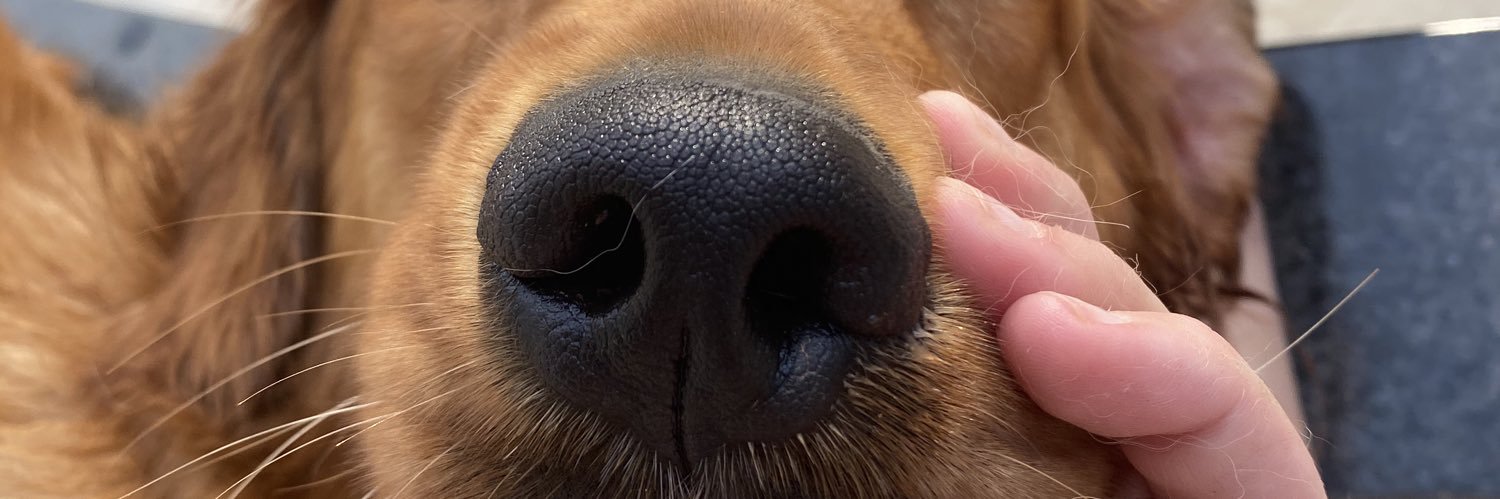 teefy__'s profile banner image