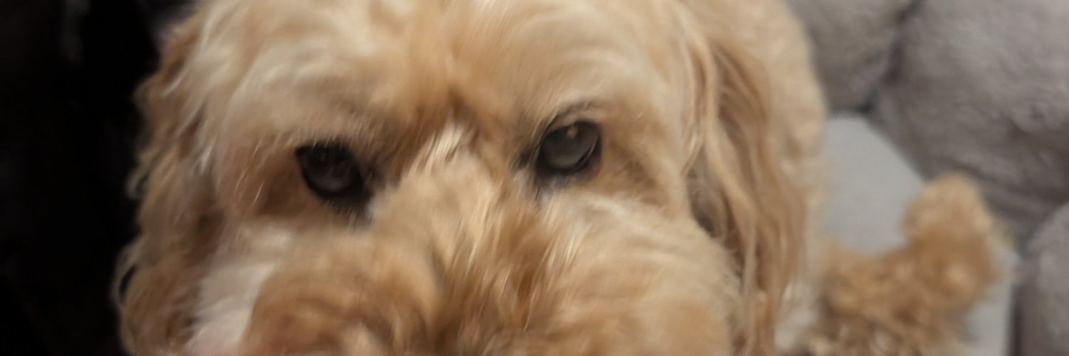 Alessboy2020's profile banner image