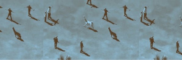 acchicken's profile banner image