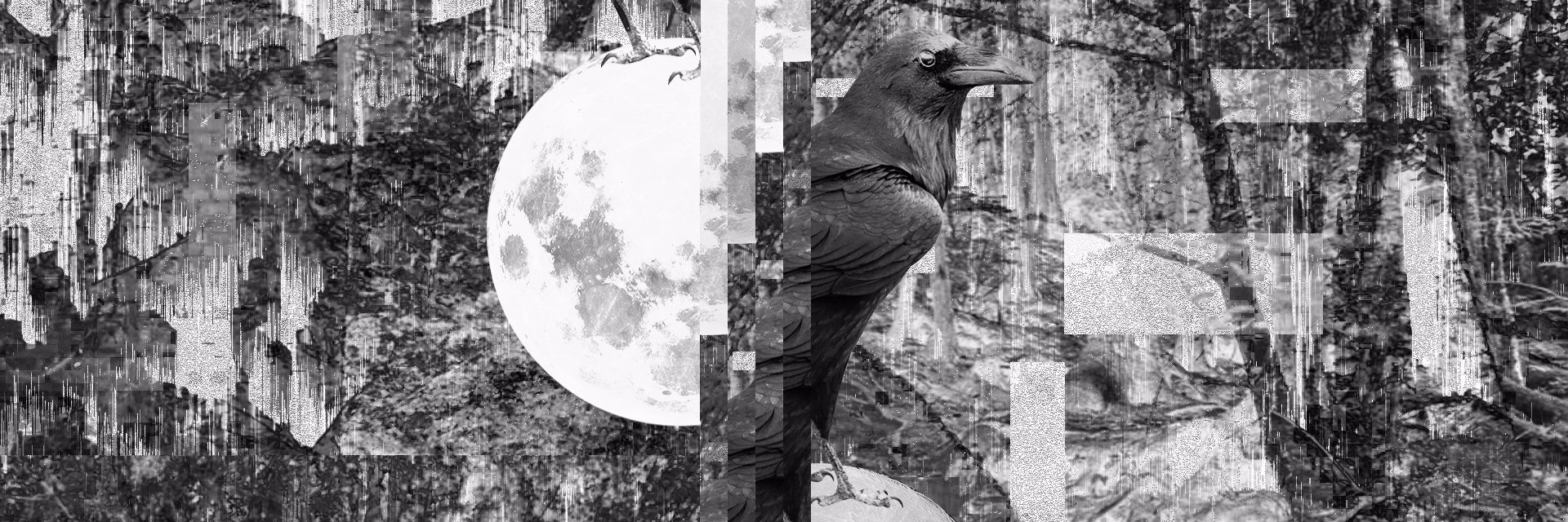scalingthewall's profile banner image