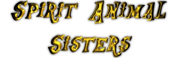 Follow me @ solidoshawott.bsky.social banner