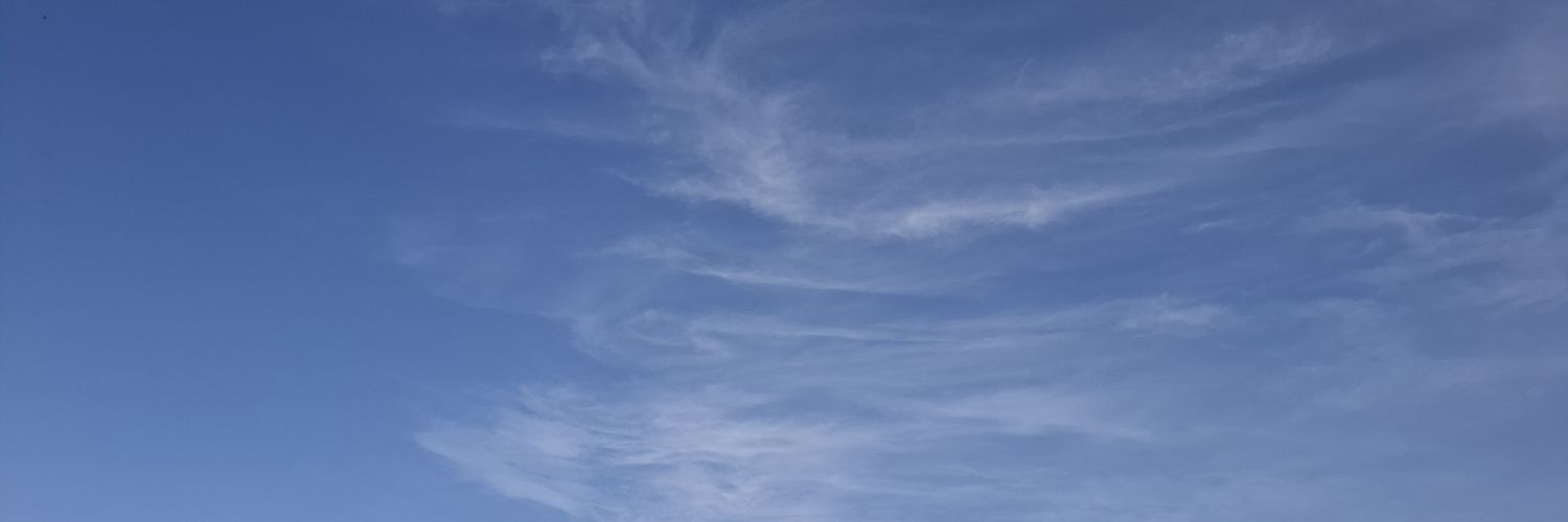 مِش لين banner