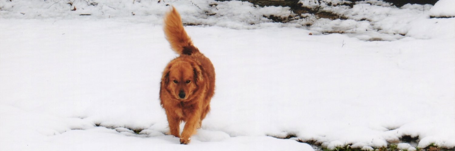 janjan19_'s profile banner image