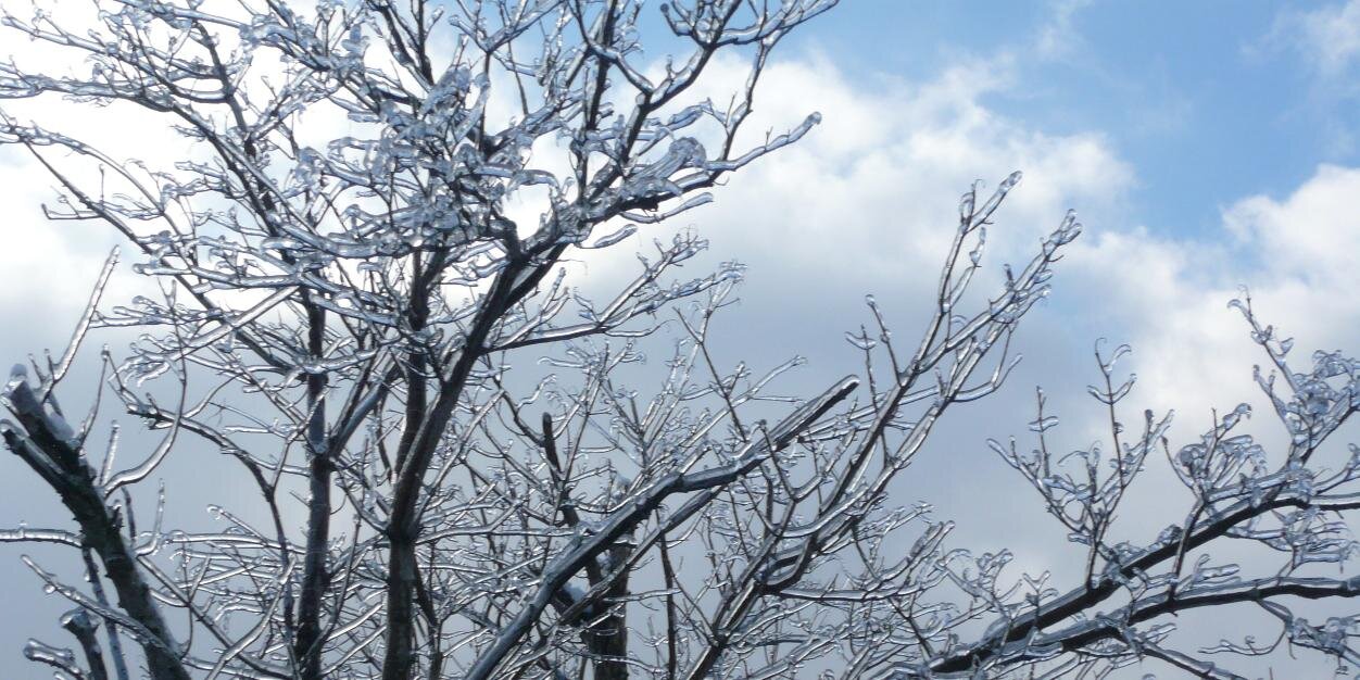 wwmcheung's profile banner image