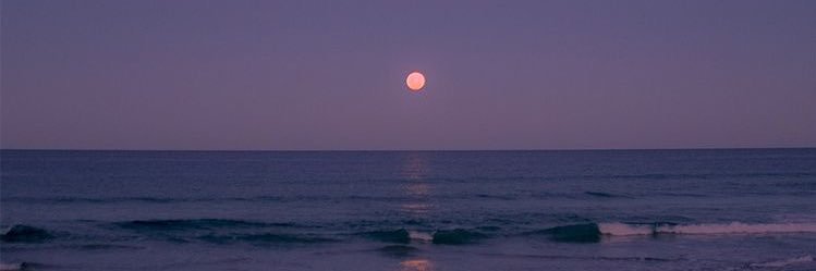 mamibbie's profile banner image