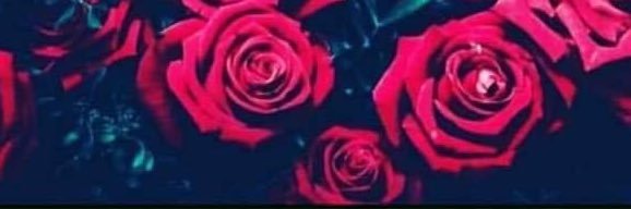 imalmostashley's profile banner image