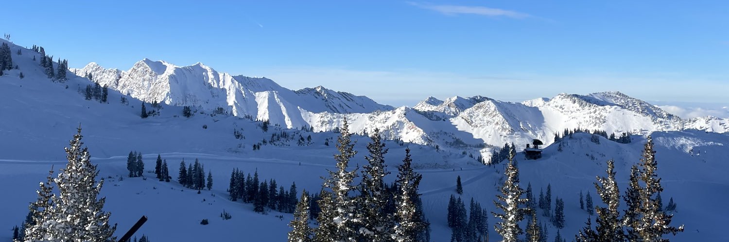 Bret Anderson banner