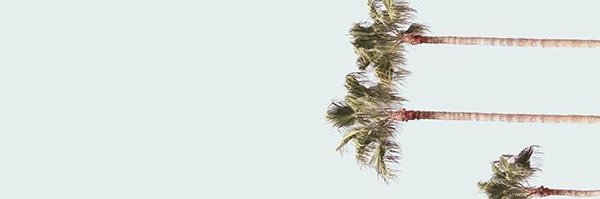 Msindisii's profile banner image