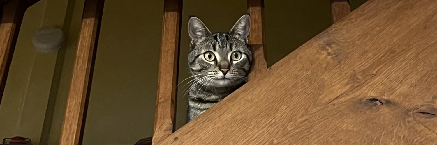 melbrbt's profile banner image