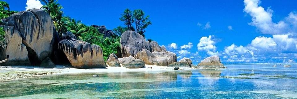 oncu_akin's profile banner image